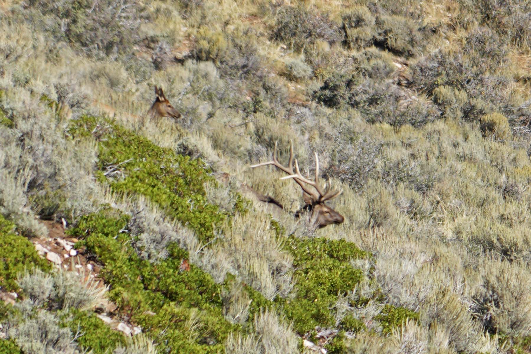 Three Springs Ranch property picture 67 of 82