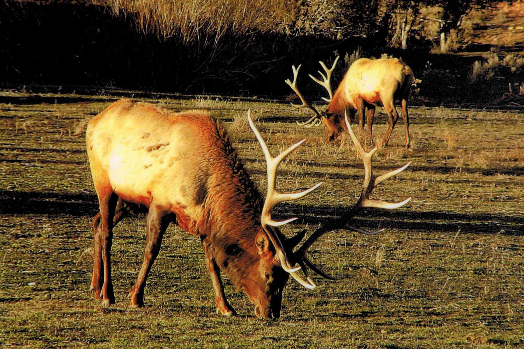 Three Springs Ranch property picture 11 of 82