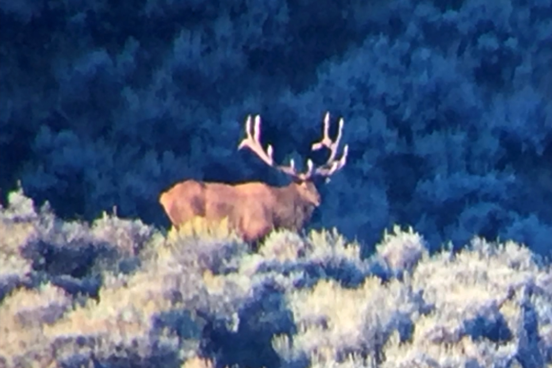 Three Springs Ranch property picture 45 of 82