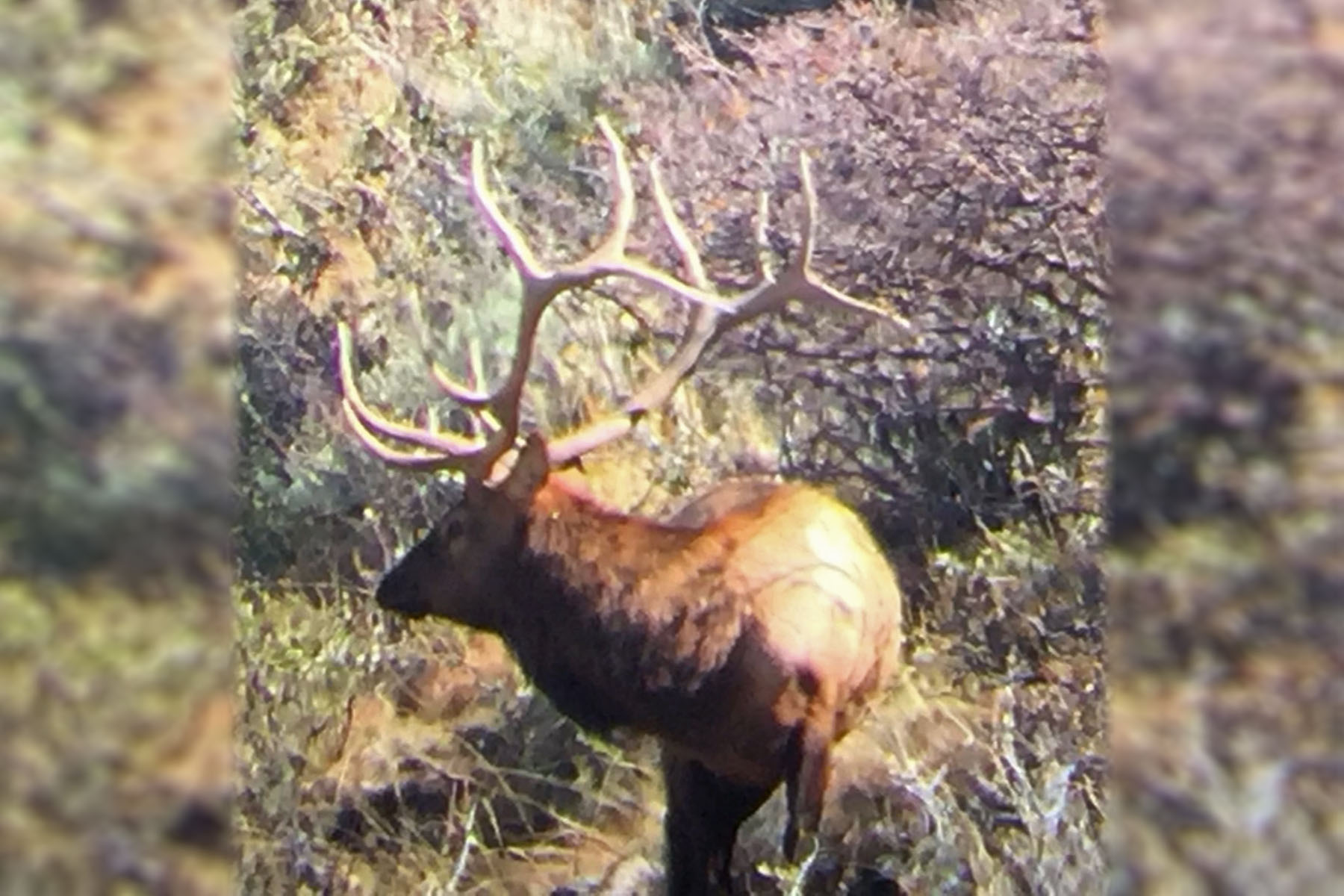 Three Springs Ranch property picture 23 of 82