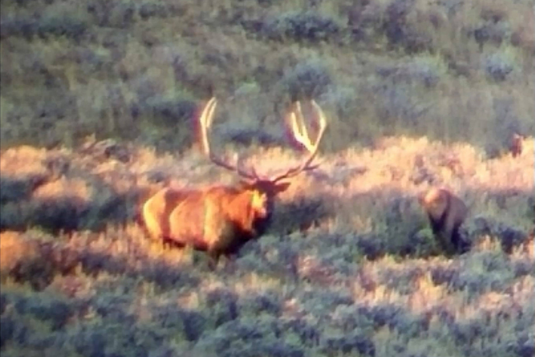 Three Springs Ranch property picture 5 of 82