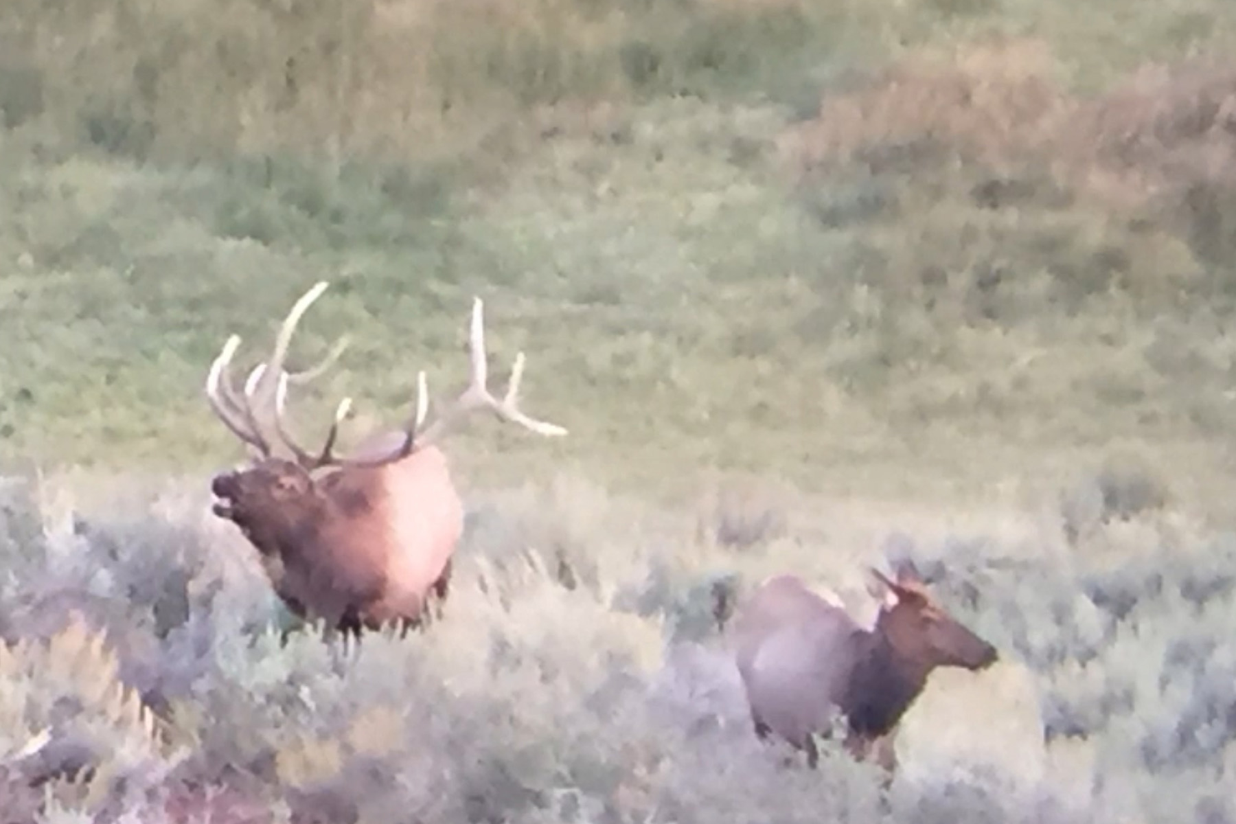 Three Springs Ranch property picture 17 of 82