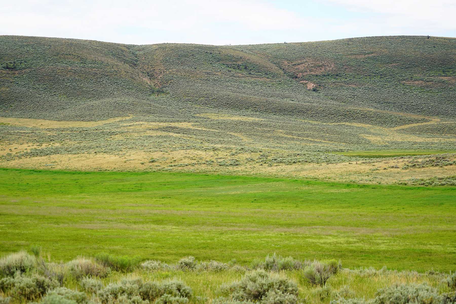 Three Springs Ranch property picture 39 of 82