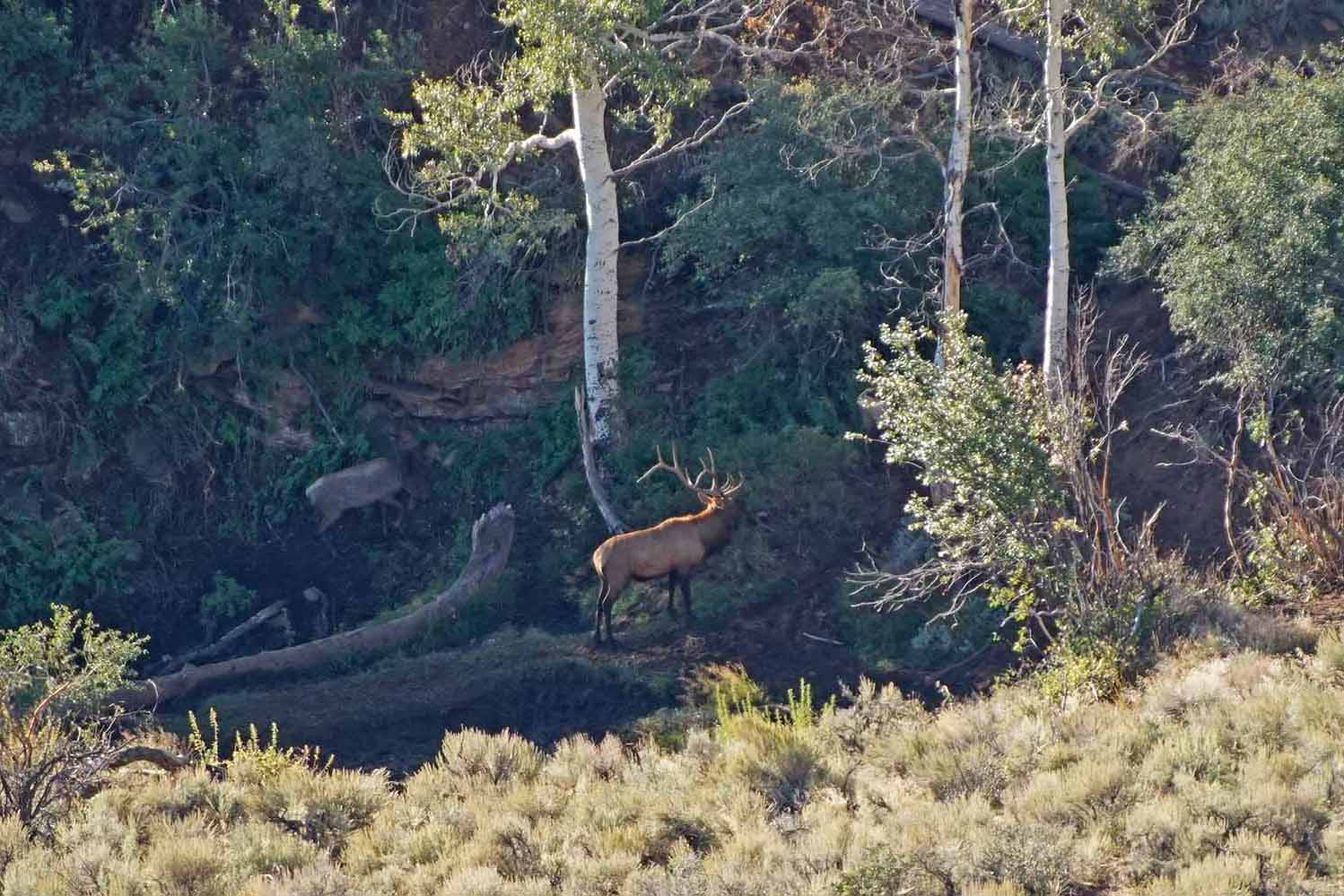 Three Springs Ranch property picture 22 of 82