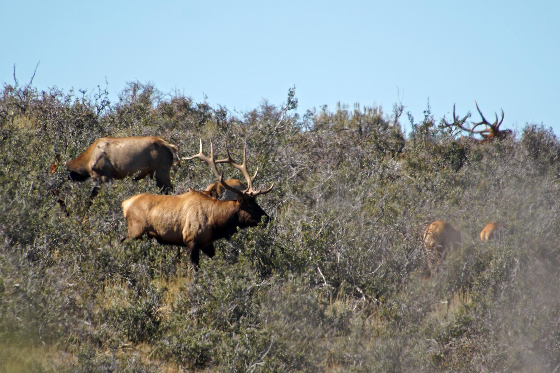 Three Springs Ranch property picture 66 of 82
