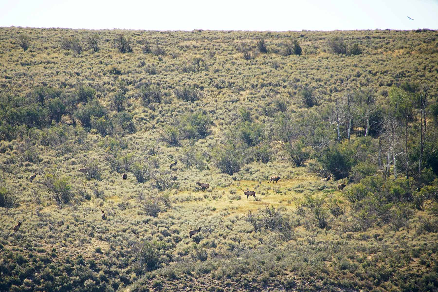 Three Springs Ranch property picture 68 of 82