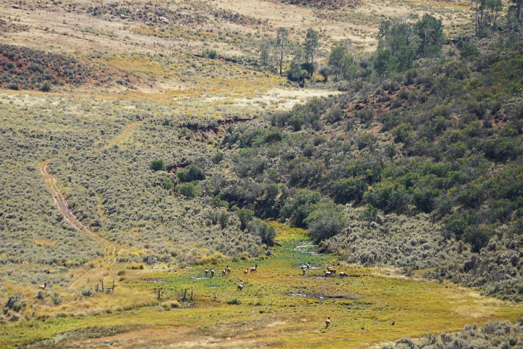 Three Springs Ranch property picture 63 of 82