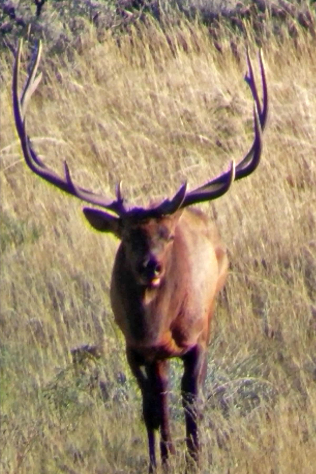 Three Springs Ranch property picture 40 of 82
