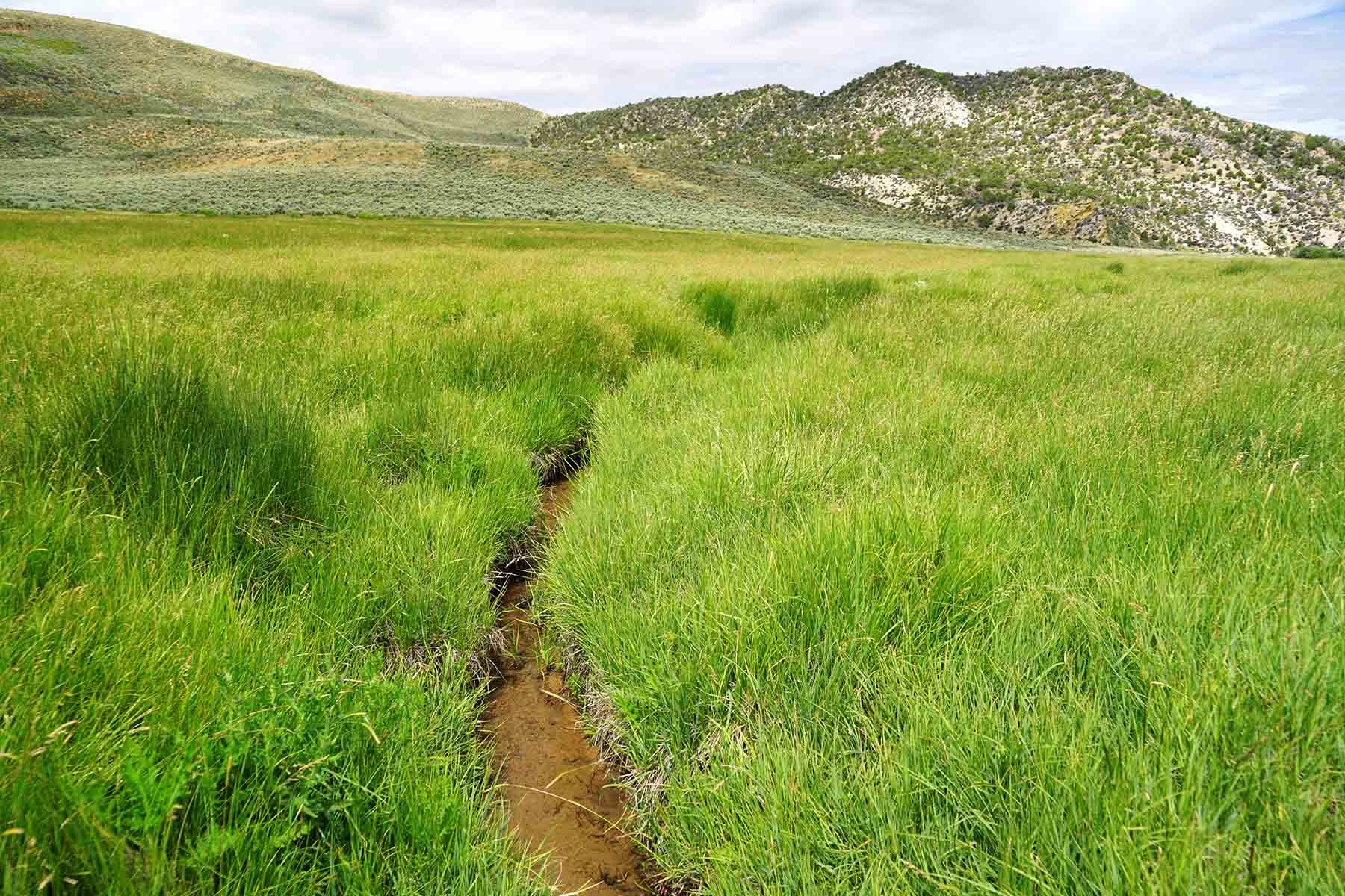 Three Springs Ranch property picture 13 of 82