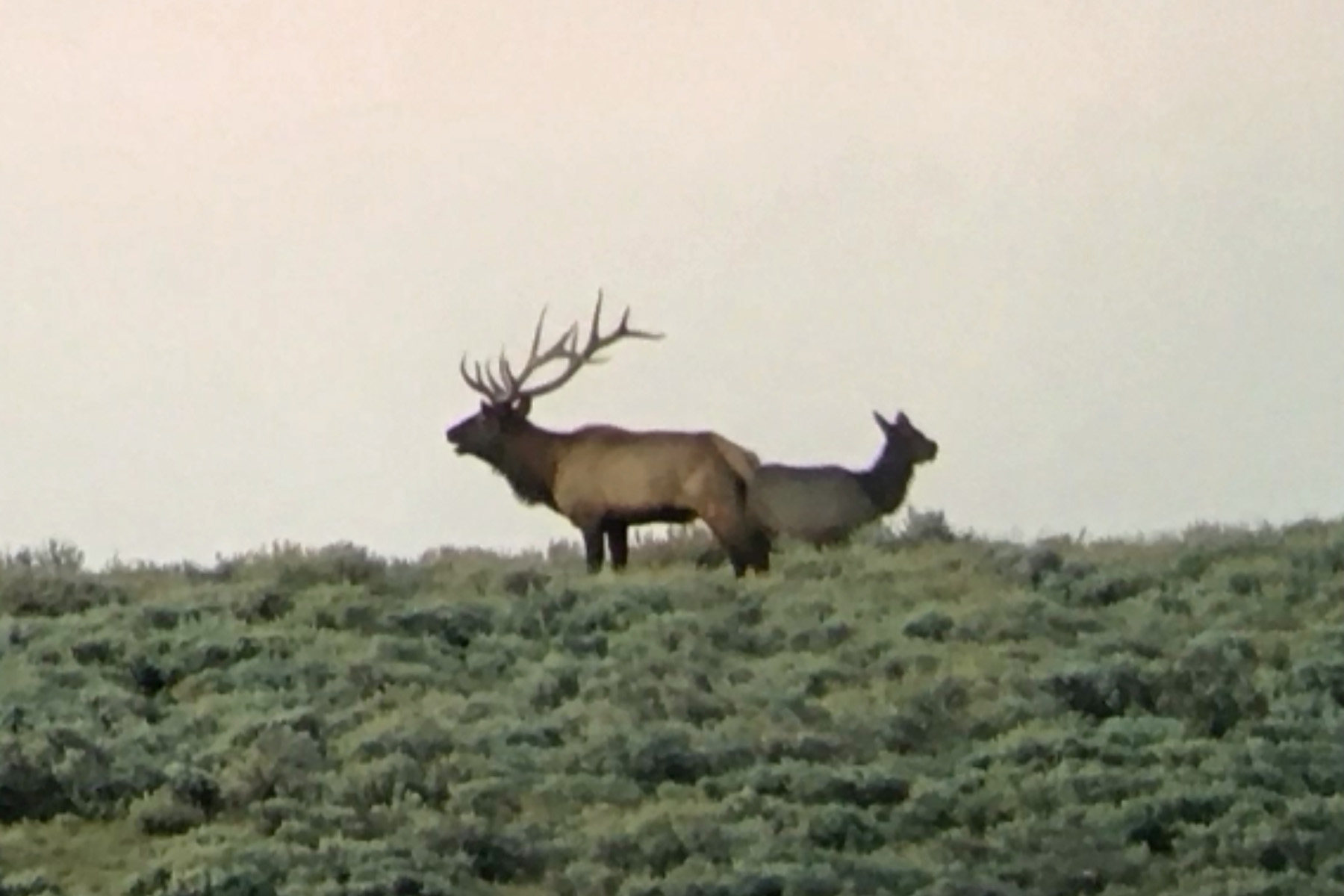 Three Springs Ranch property picture 64 of 82