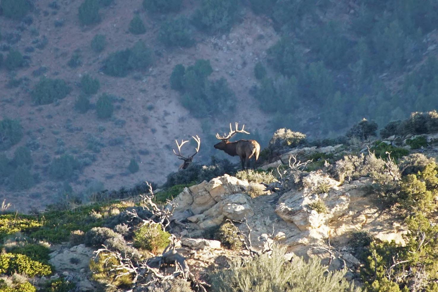 Three Springs Ranch property picture 8 of 82