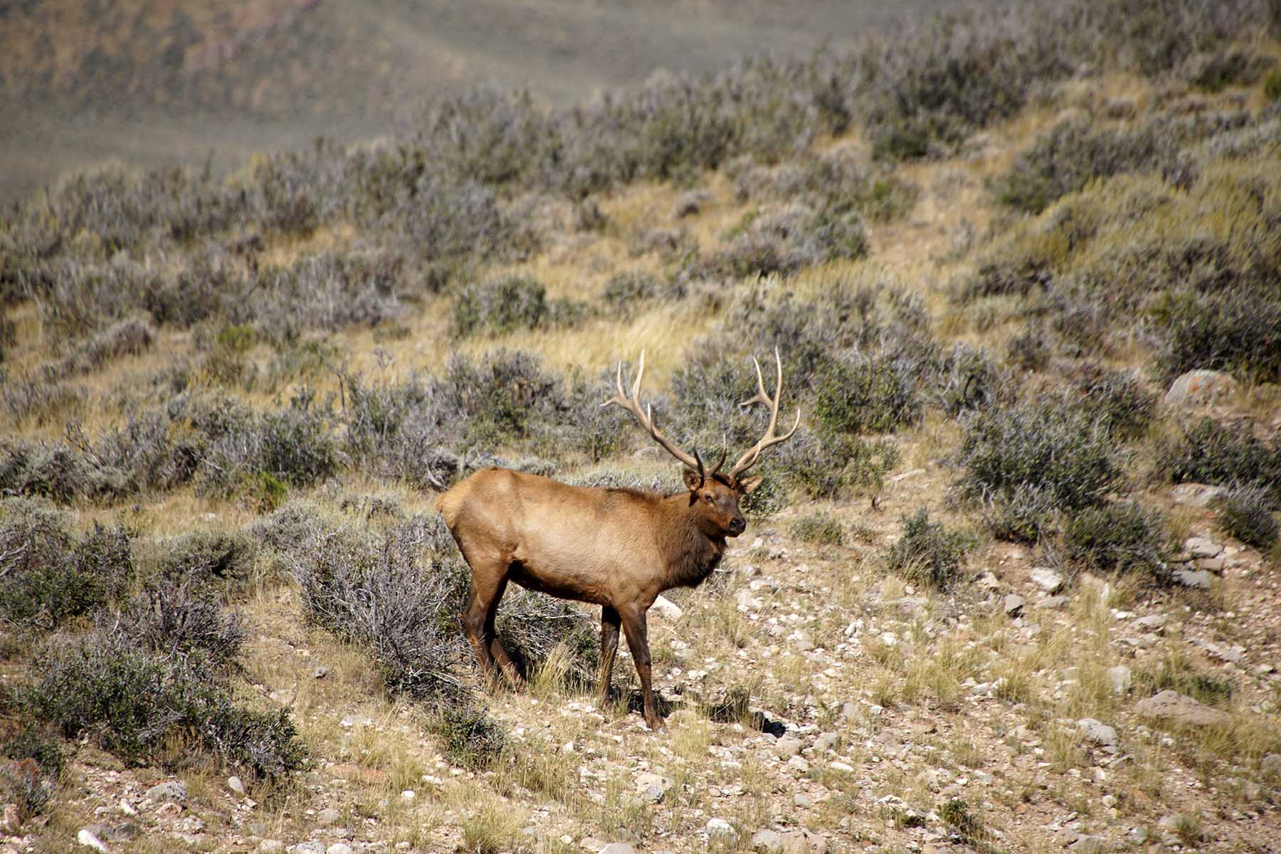 Three Springs Ranch property picture 69 of 82