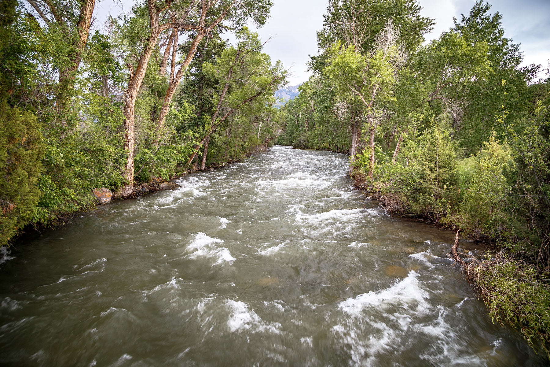 Timeless Retreat on Mill Creek property picture 54 of 59