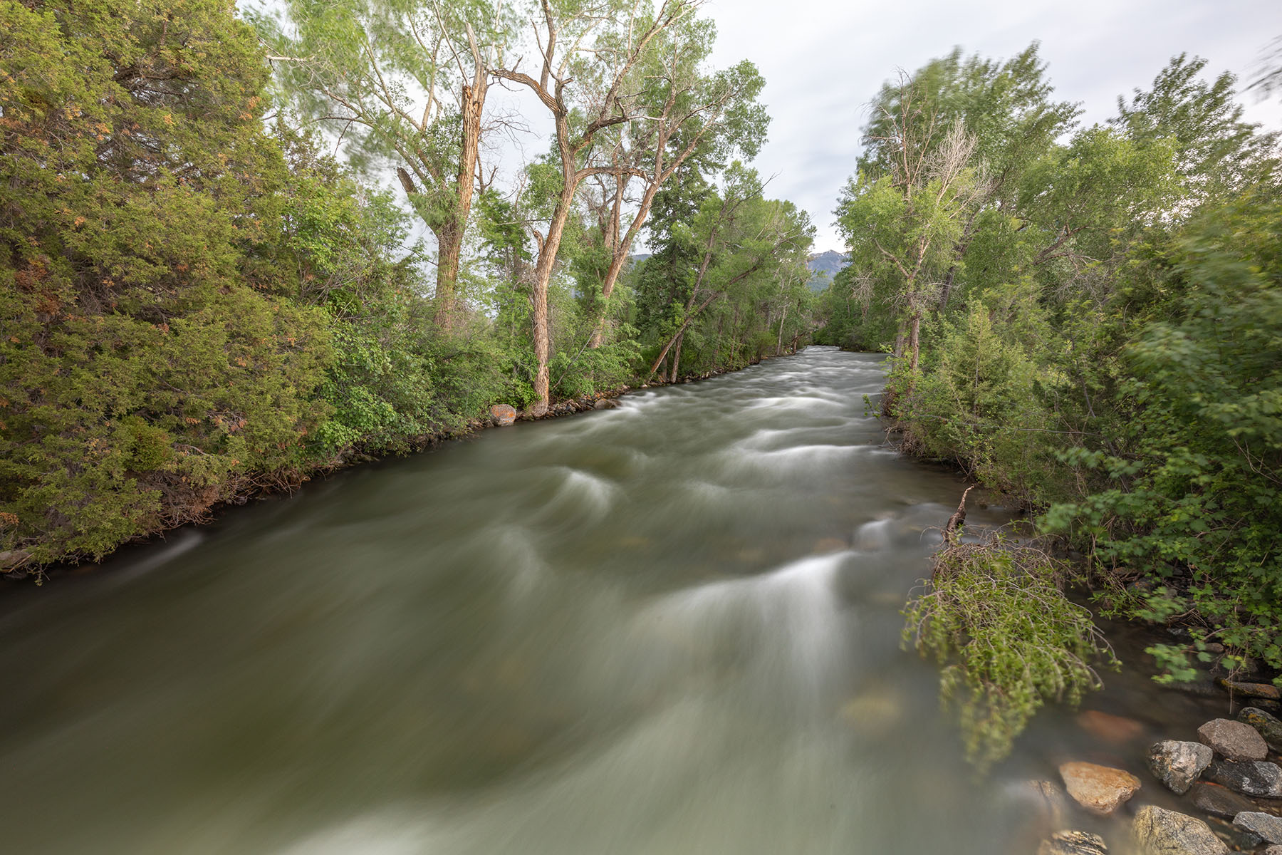 Timeless Retreat on Mill Creek property picture 50 of 59
