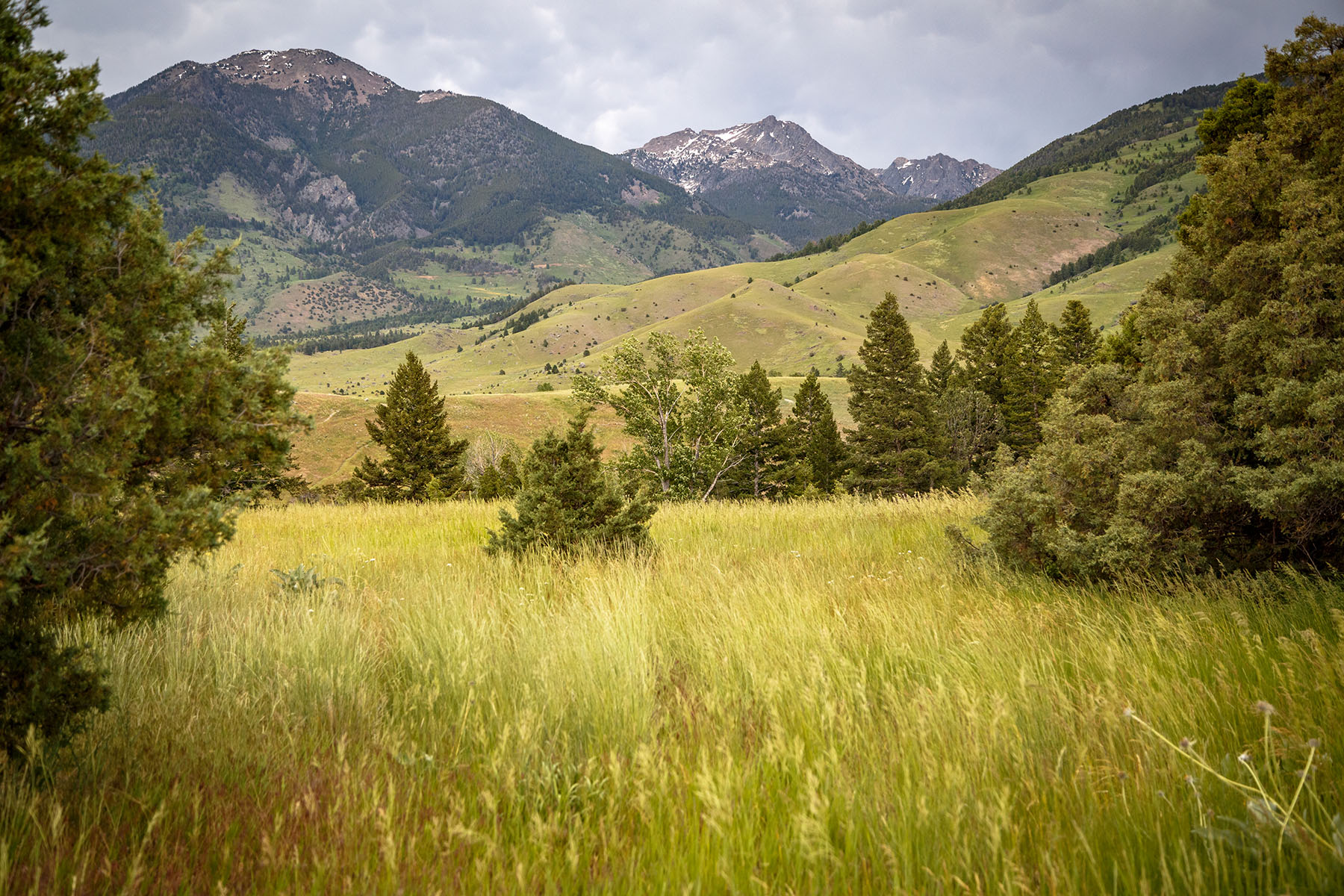 Timeless Retreat on Mill Creek property picture 46 of 59