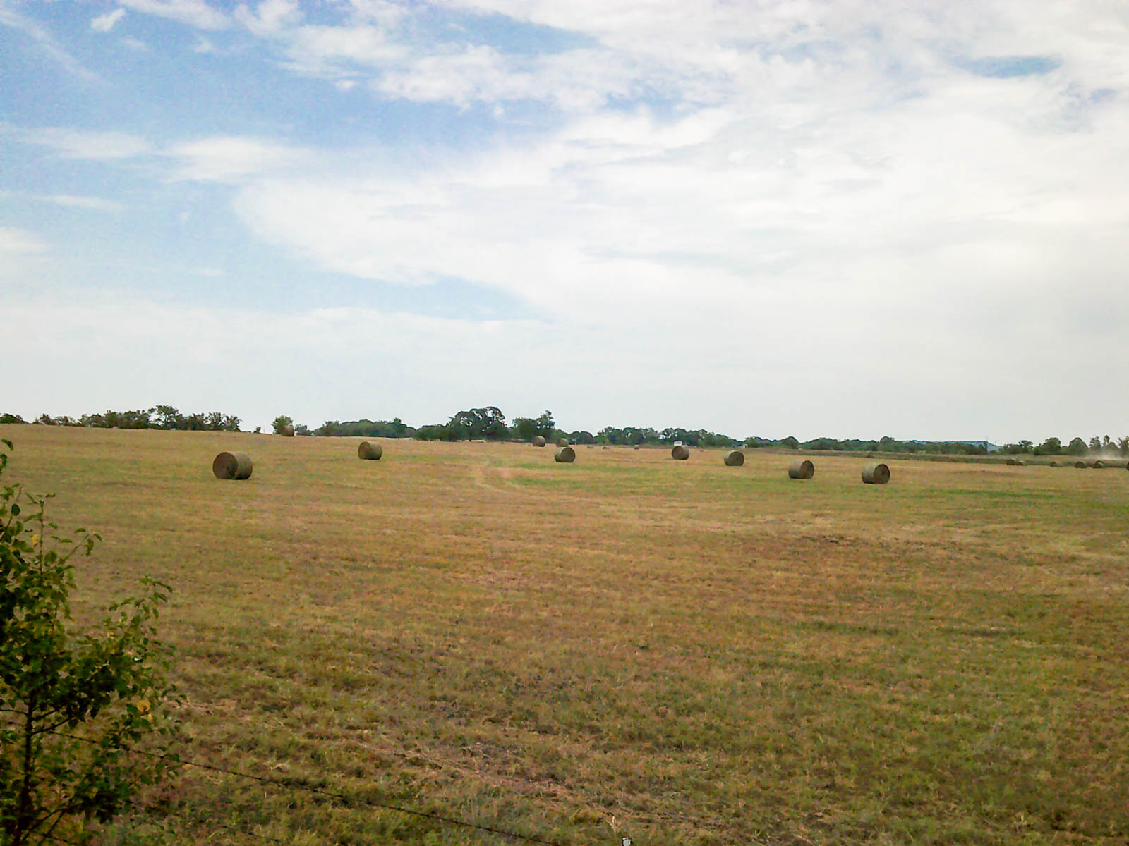 Eastern Oklahoma Land property picture 23 of 26