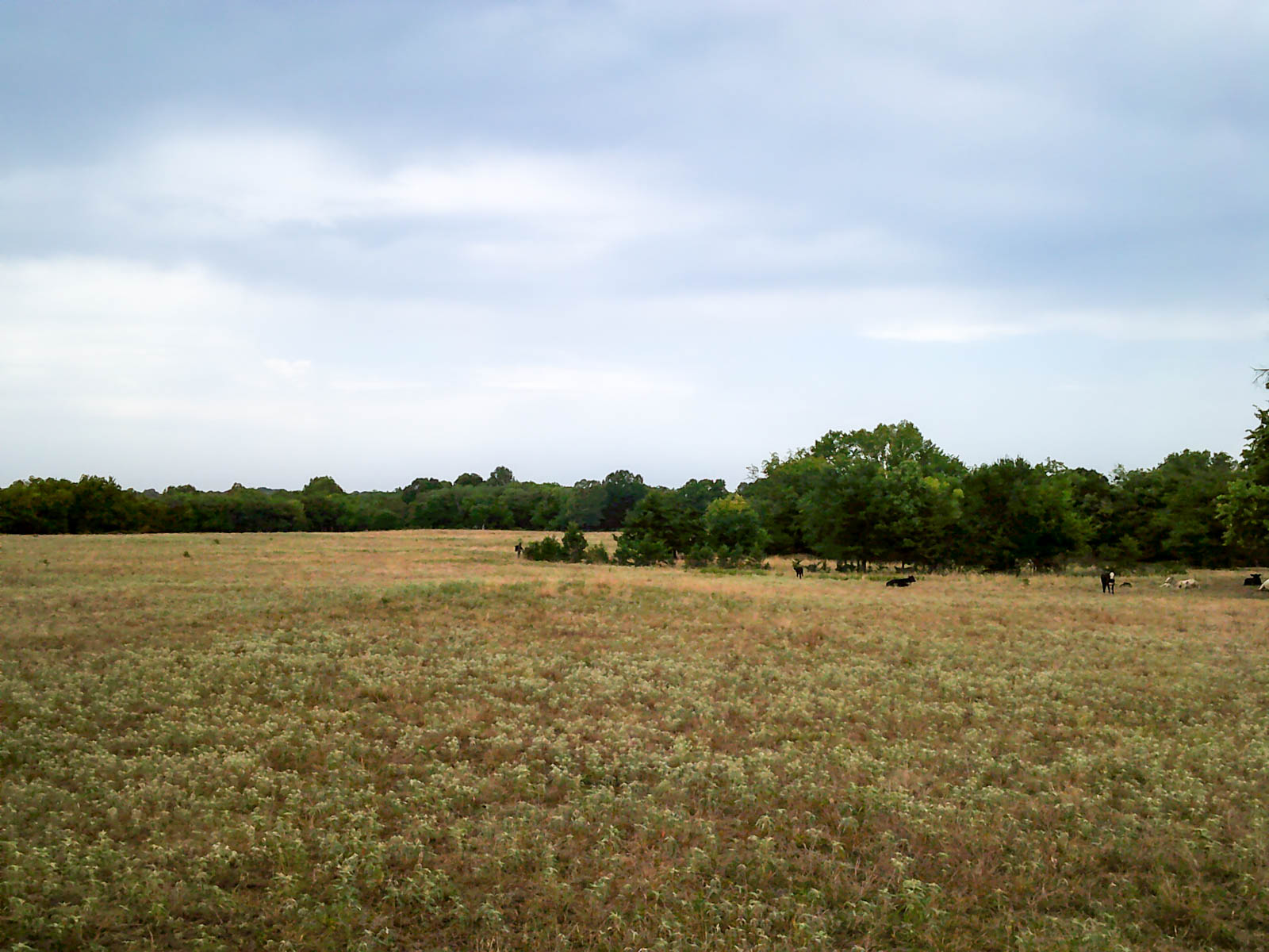 Eastern Oklahoma Land property picture 15 of 26