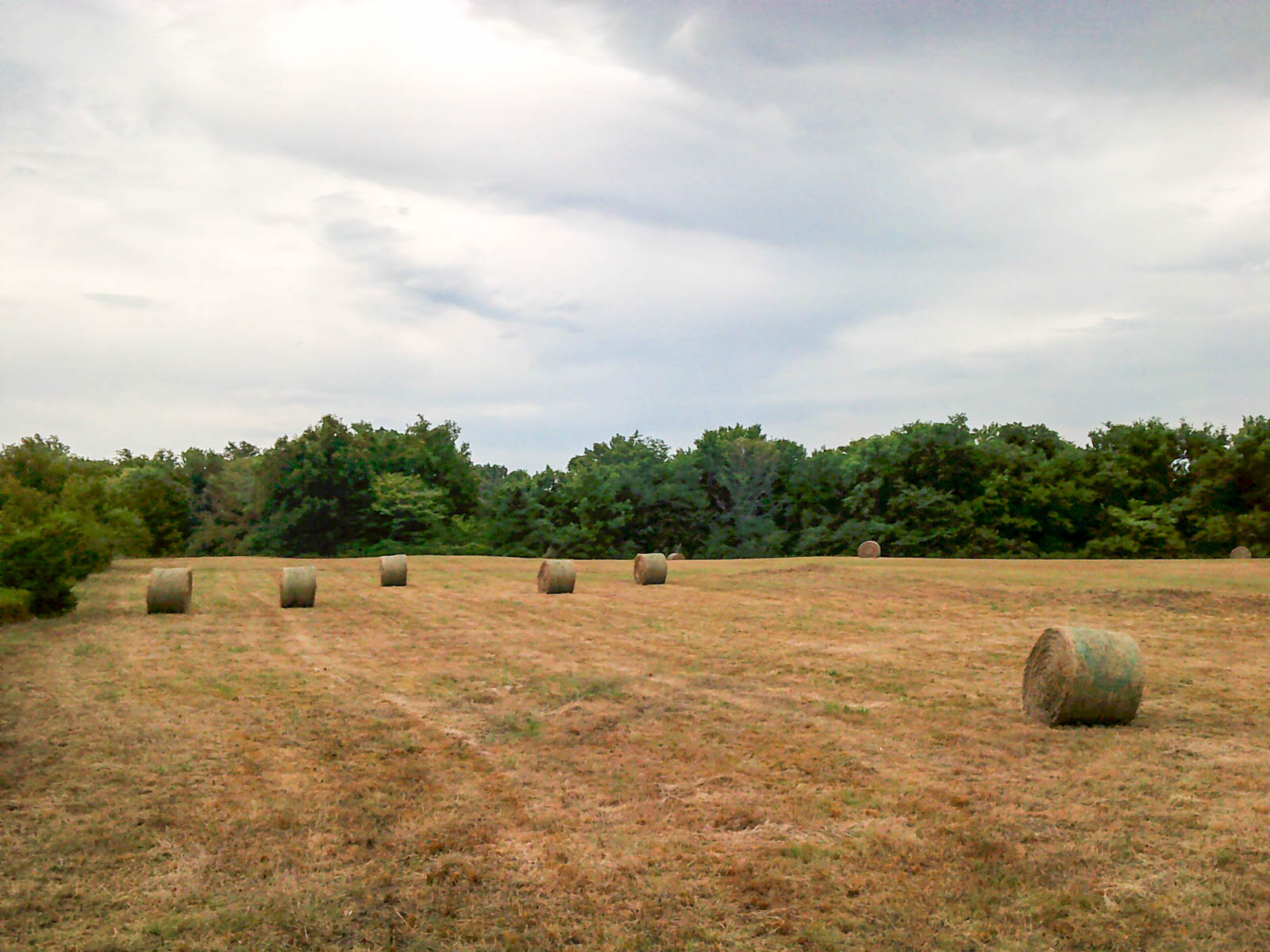 Eastern Oklahoma Land property picture 22 of 26