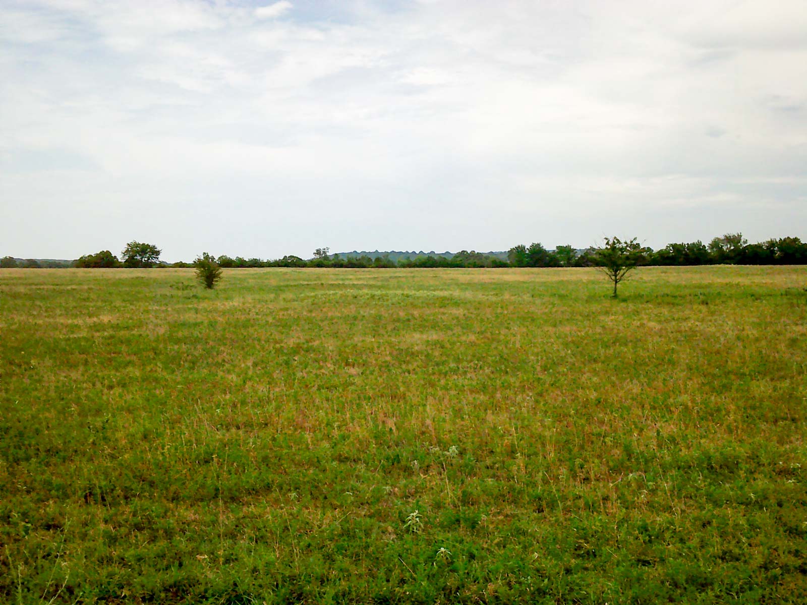 Eastern Oklahoma Land property picture 18 of 26