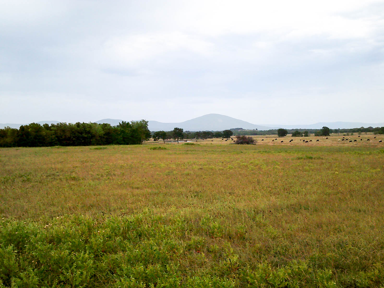 Eastern Oklahoma Land property picture 25 of 26