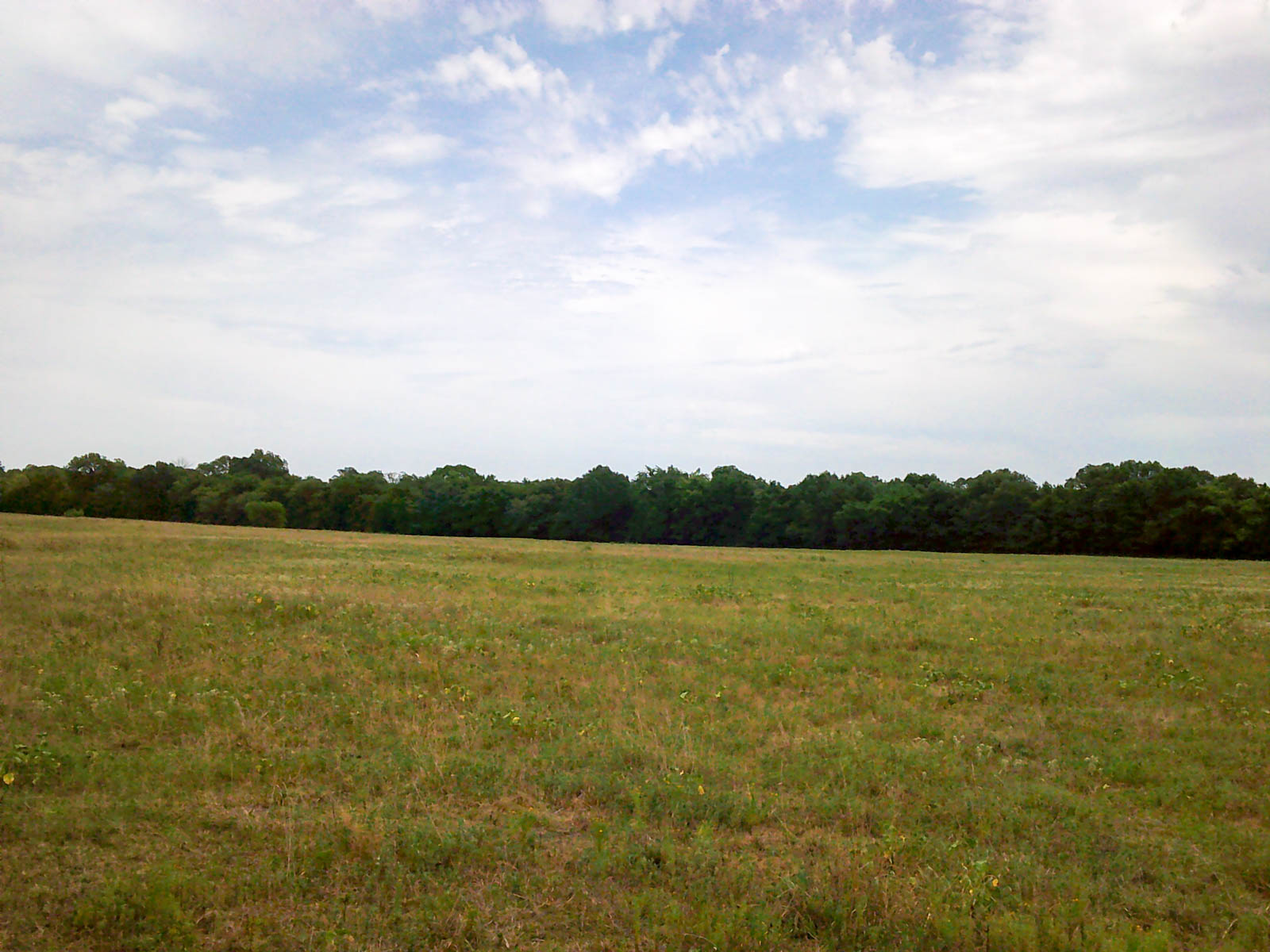 Eastern Oklahoma Land property picture 2 of 26