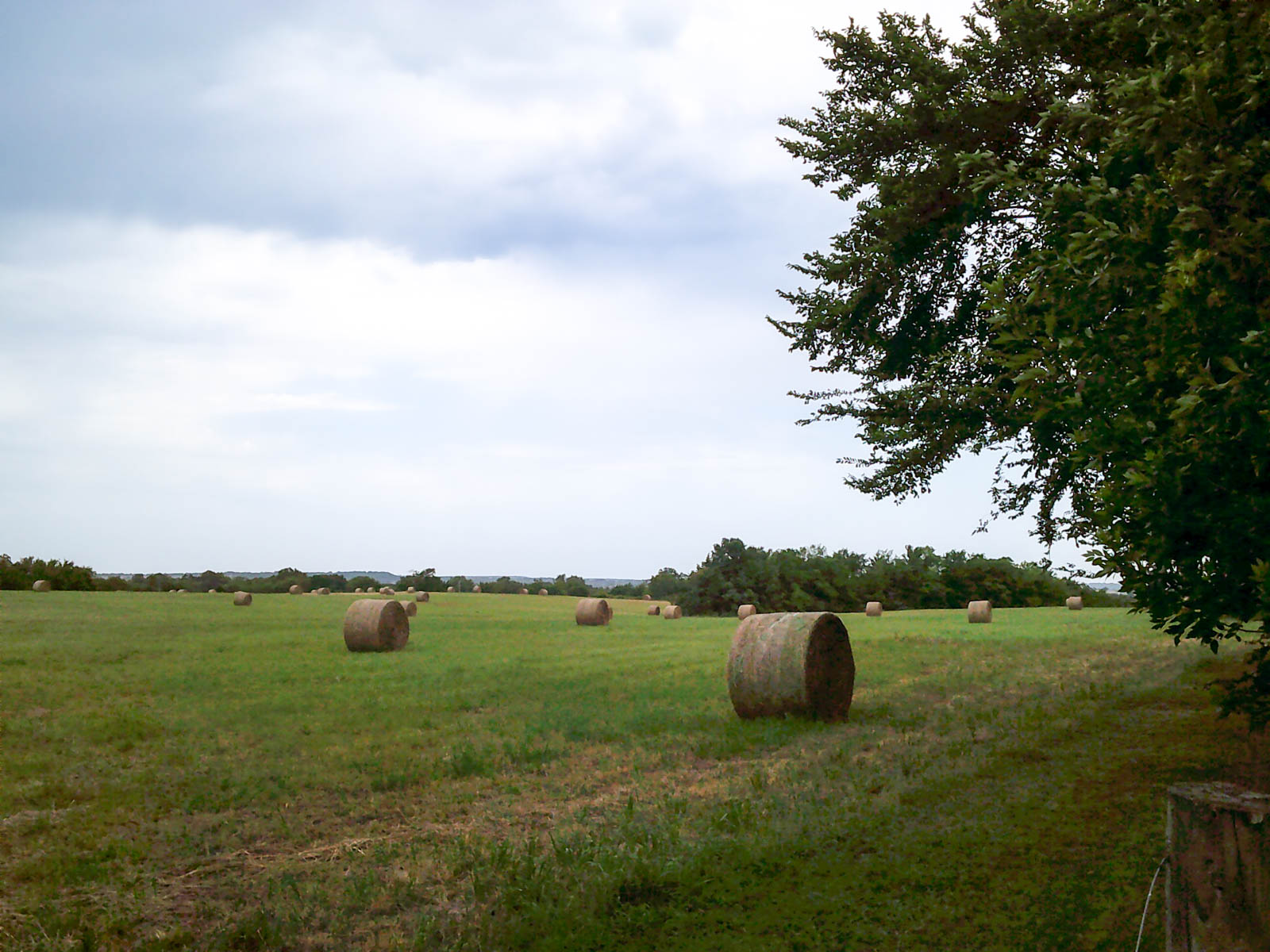 Eastern Oklahoma Land property picture 8 of 26