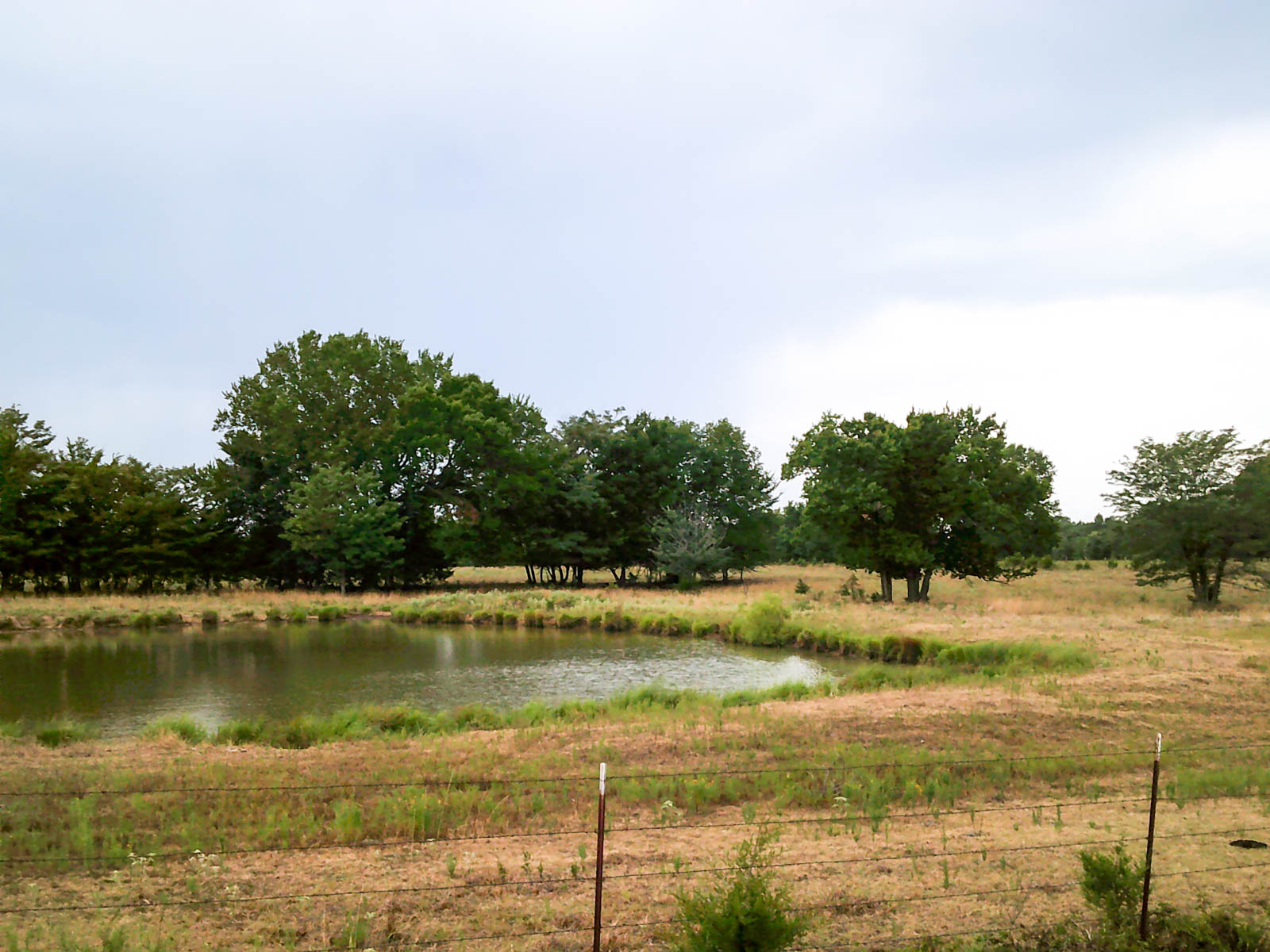 Eastern Oklahoma Land property picture 16 of 26