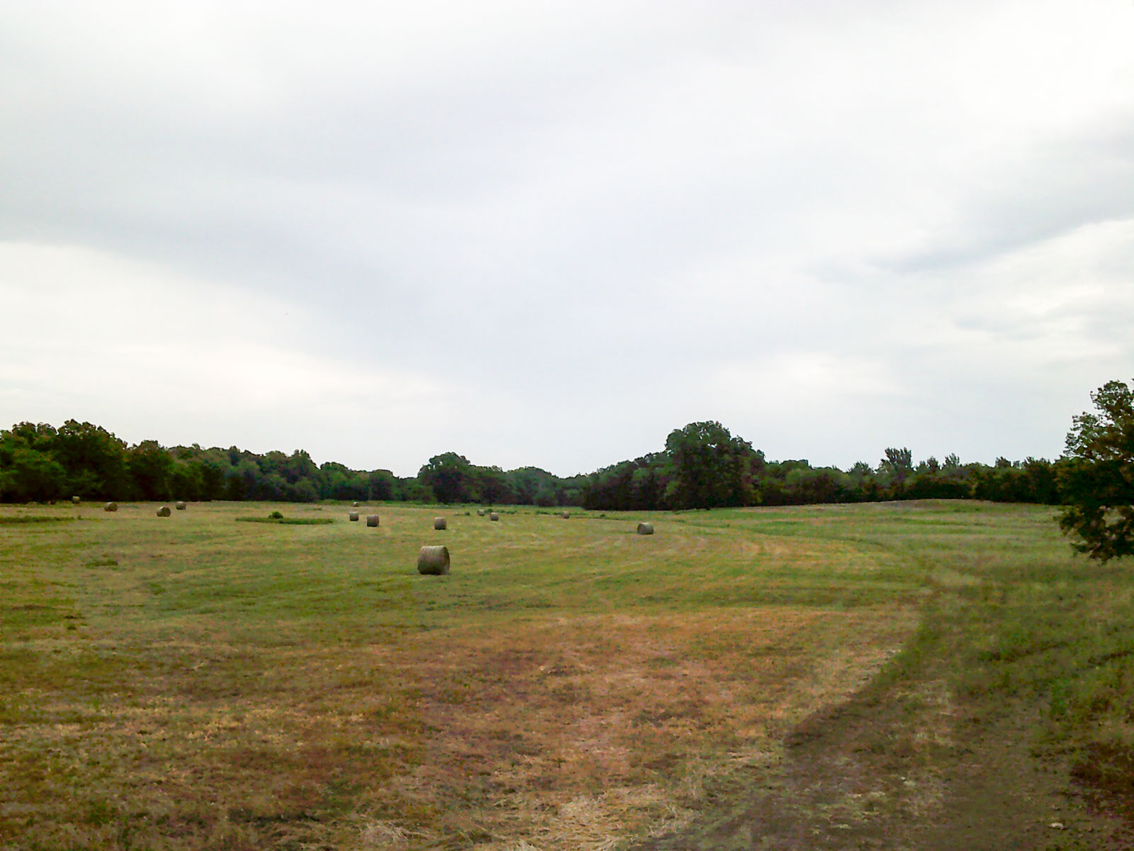 Eastern Oklahoma Land property picture 11 of 26
