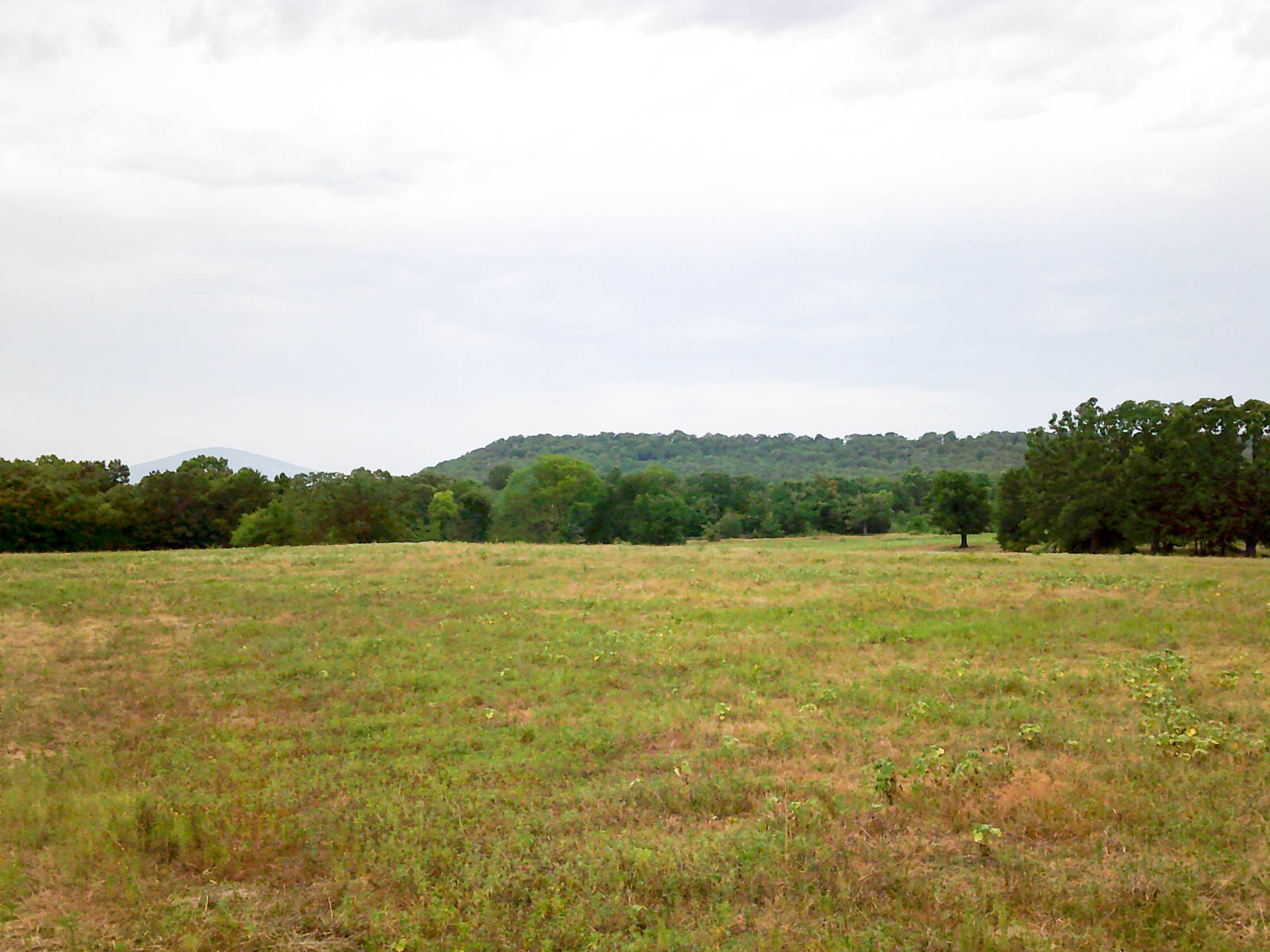 Eastern Oklahoma Land property picture 1 of 26