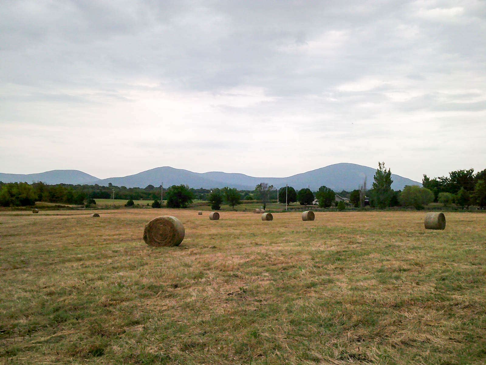 Eastern Oklahoma Land property picture 5 of 26