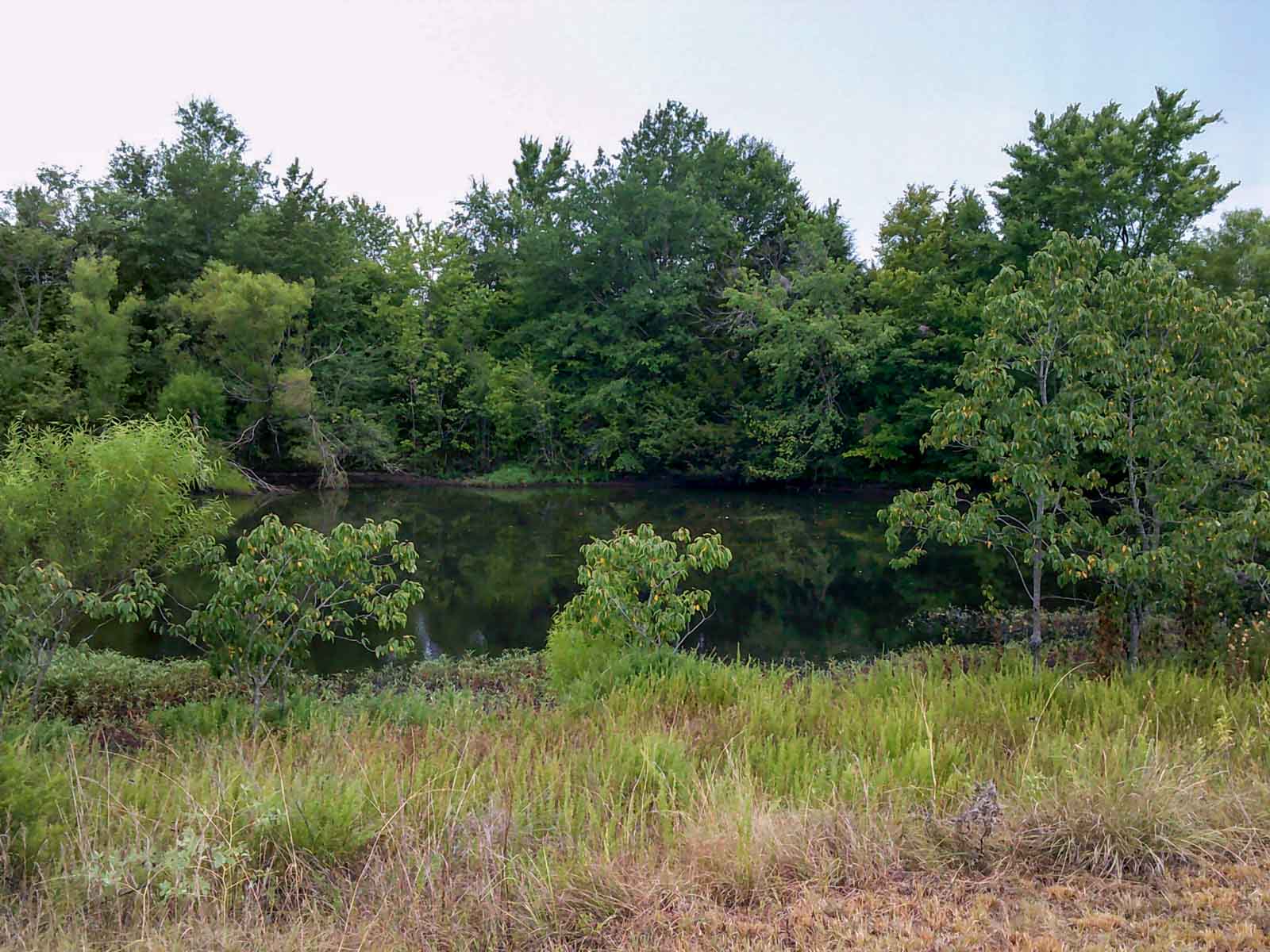 Eastern Oklahoma Land property picture 6 of 26