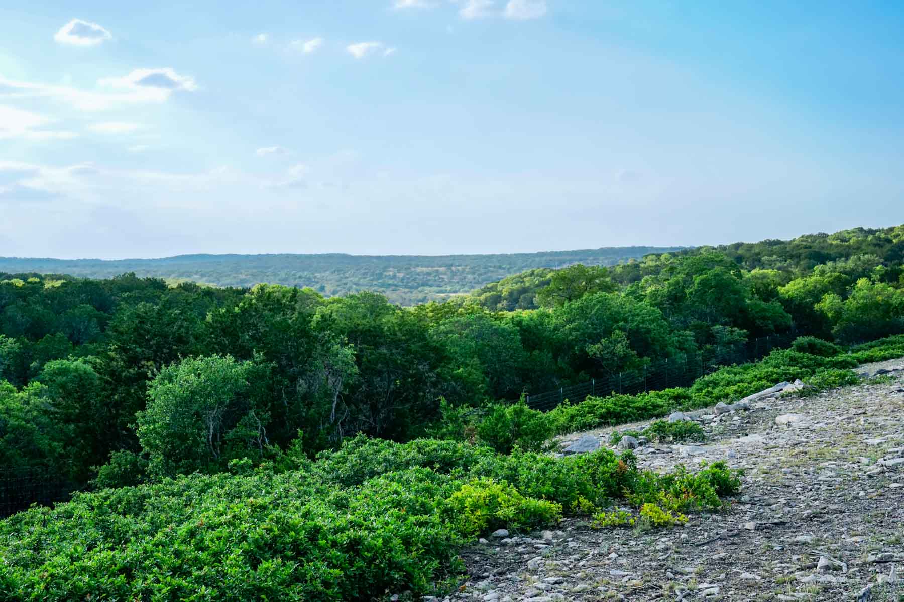 Mile Ridge Ranch property picture 3 of 63