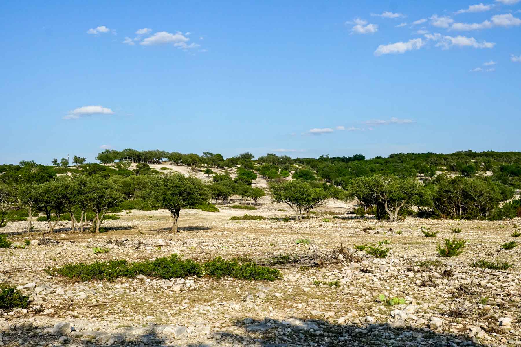 Mile Ridge Ranch property picture 20 of 63
