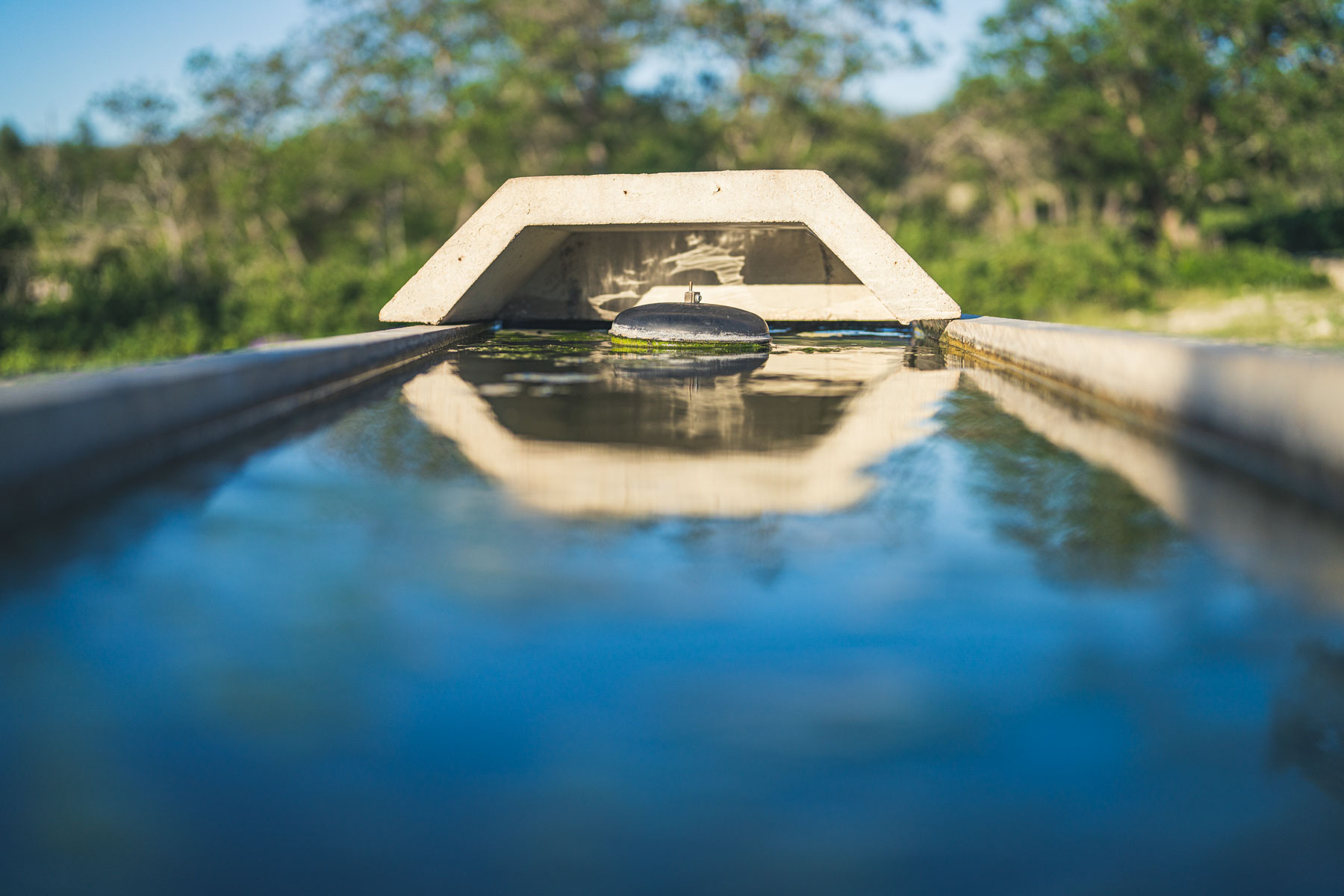 Mile Ridge Ranch property picture 39 of 63