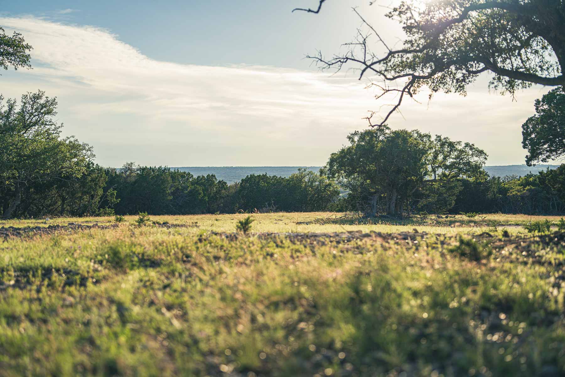 Mile Ridge Ranch property picture 40 of 63