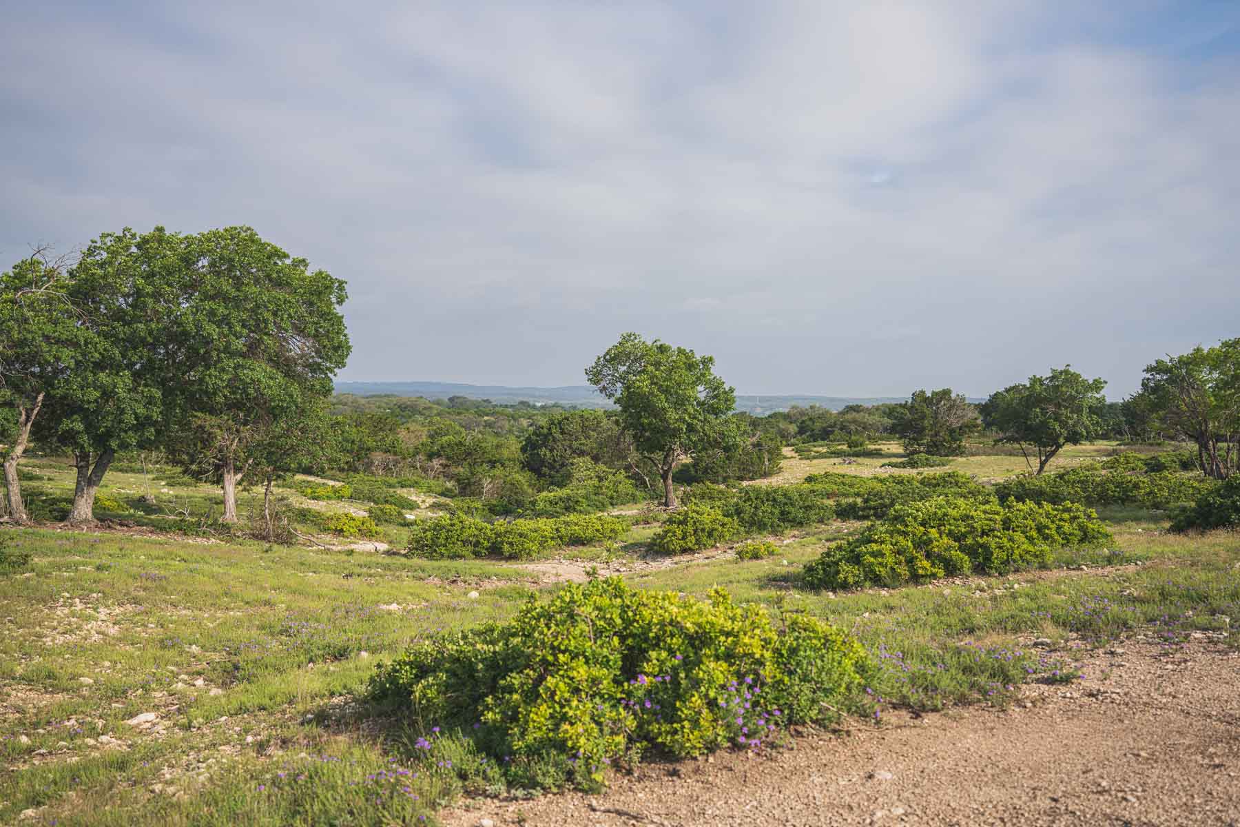 Mile Ridge Ranch property picture 63 of 63