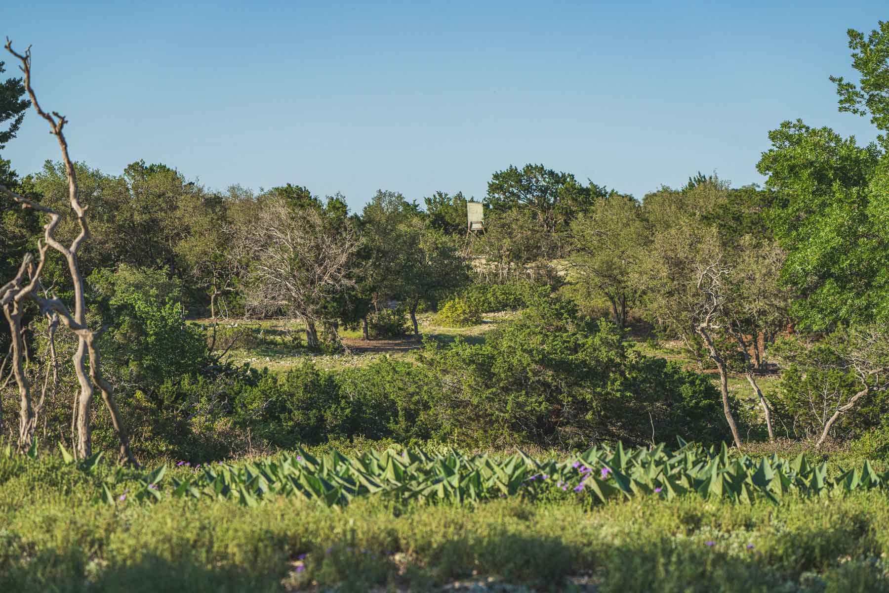 Mile Ridge Ranch property picture 29 of 63