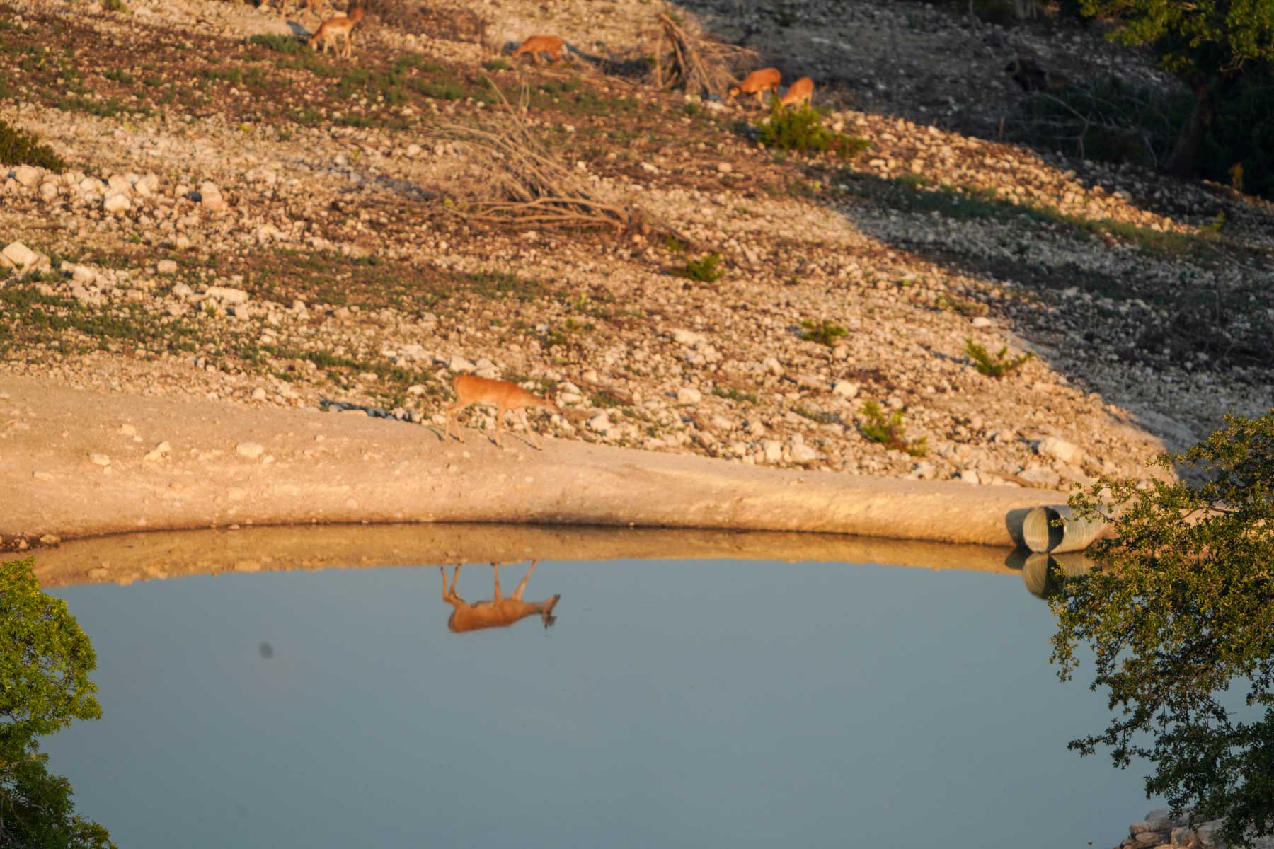 Mile Ridge Ranch property picture 7 of 63