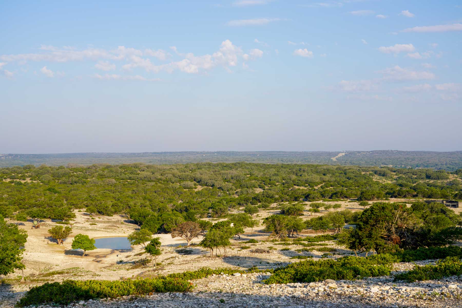 Mile Ridge Ranch property picture 24 of 63