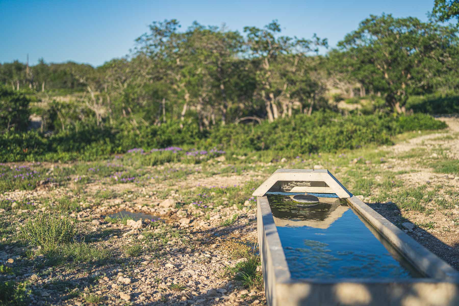 Mile Ridge Ranch property picture 38 of 63