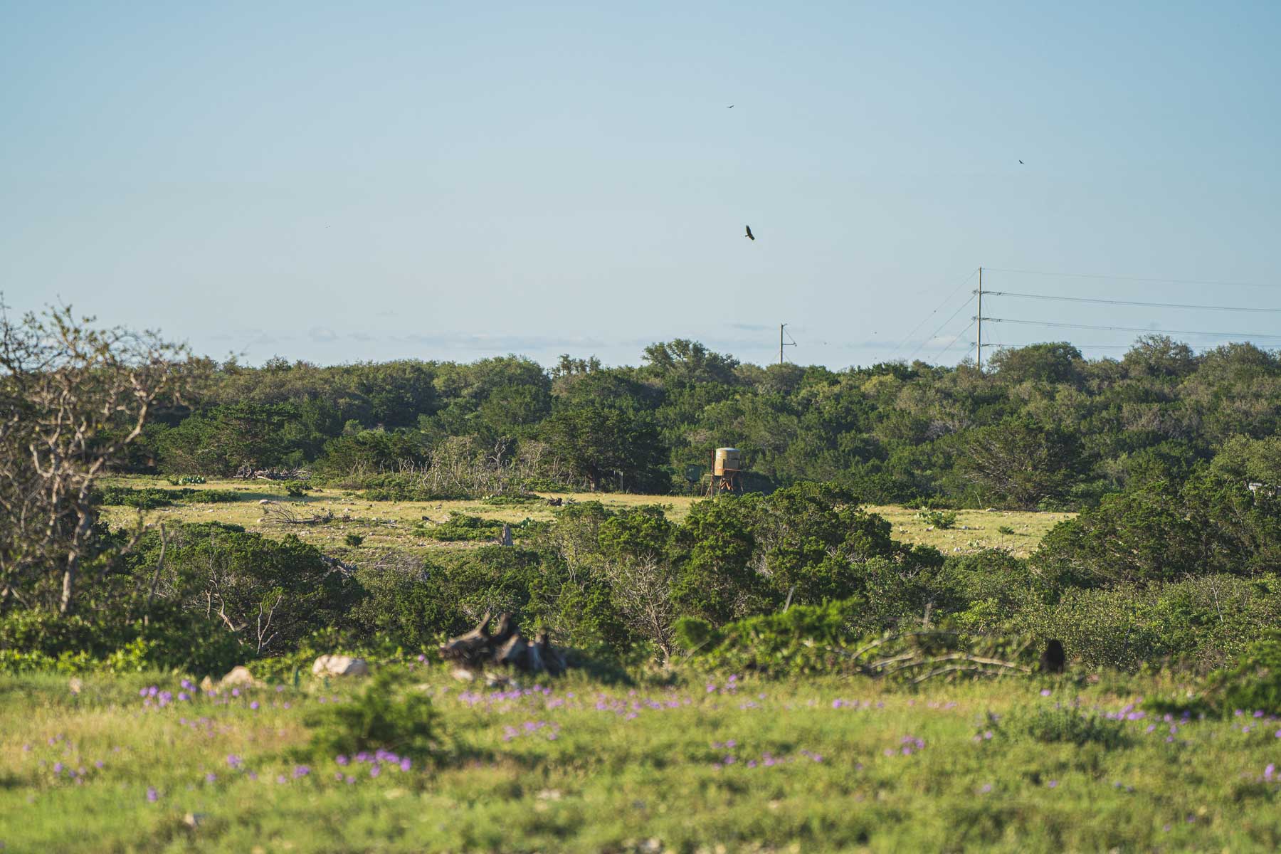 Mile Ridge Ranch property picture 31 of 63