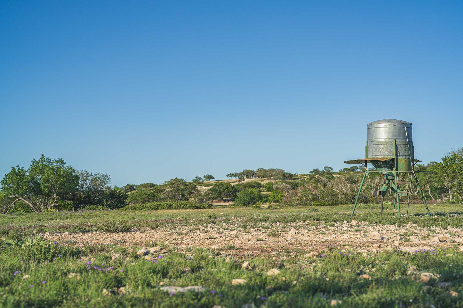 Mile Ridge Ranch property picture 32 of 63