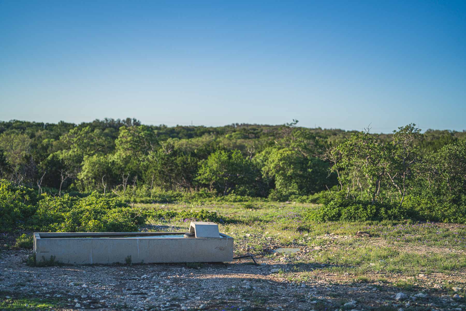 Mile Ridge Ranch property picture 37 of 63