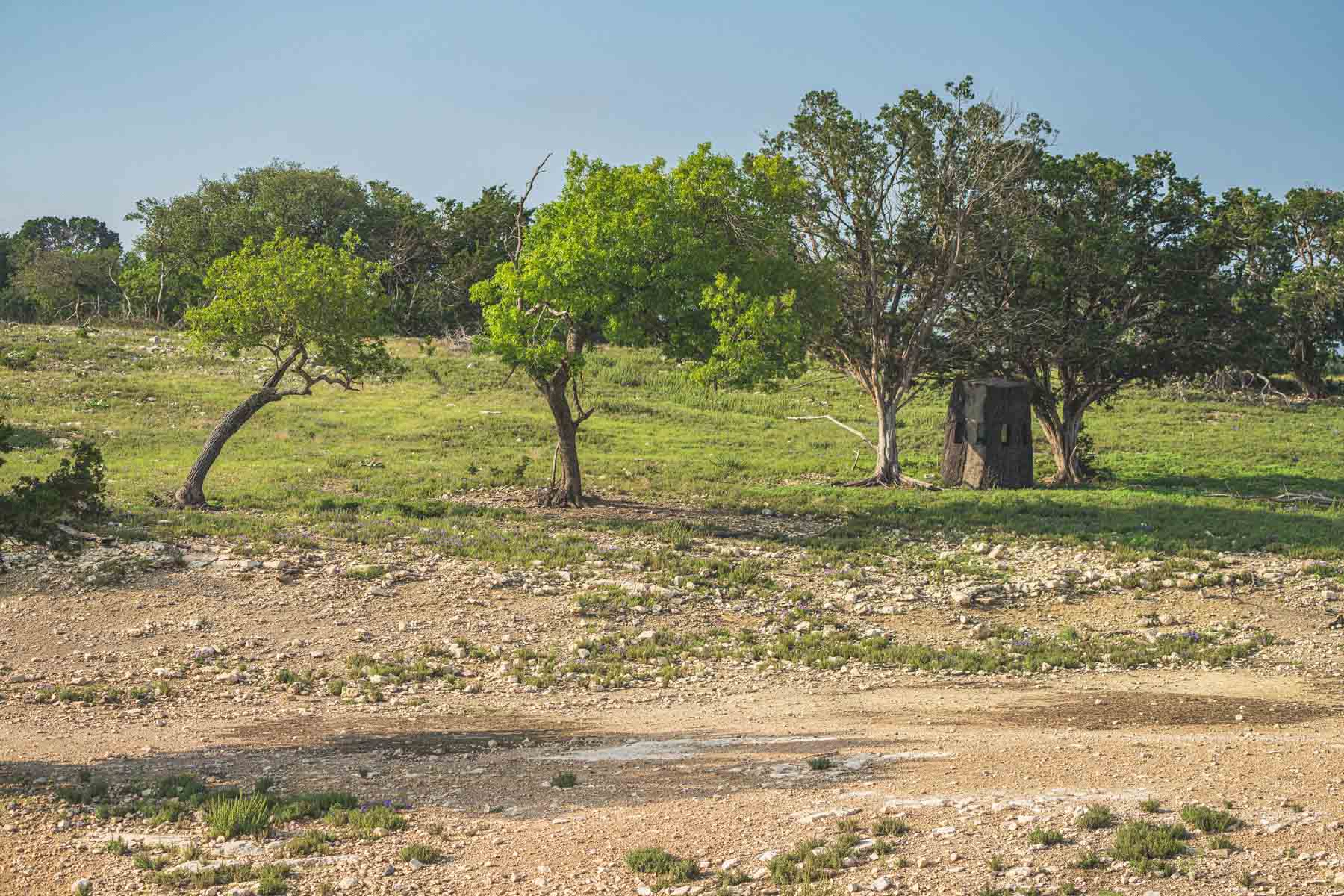 Mile Ridge Ranch property picture 57 of 63