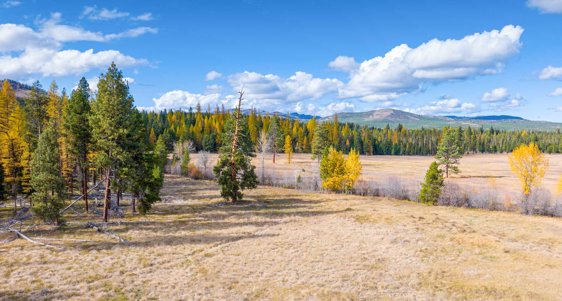 Grey Wolf Guest Ranch property picture 16 of 80