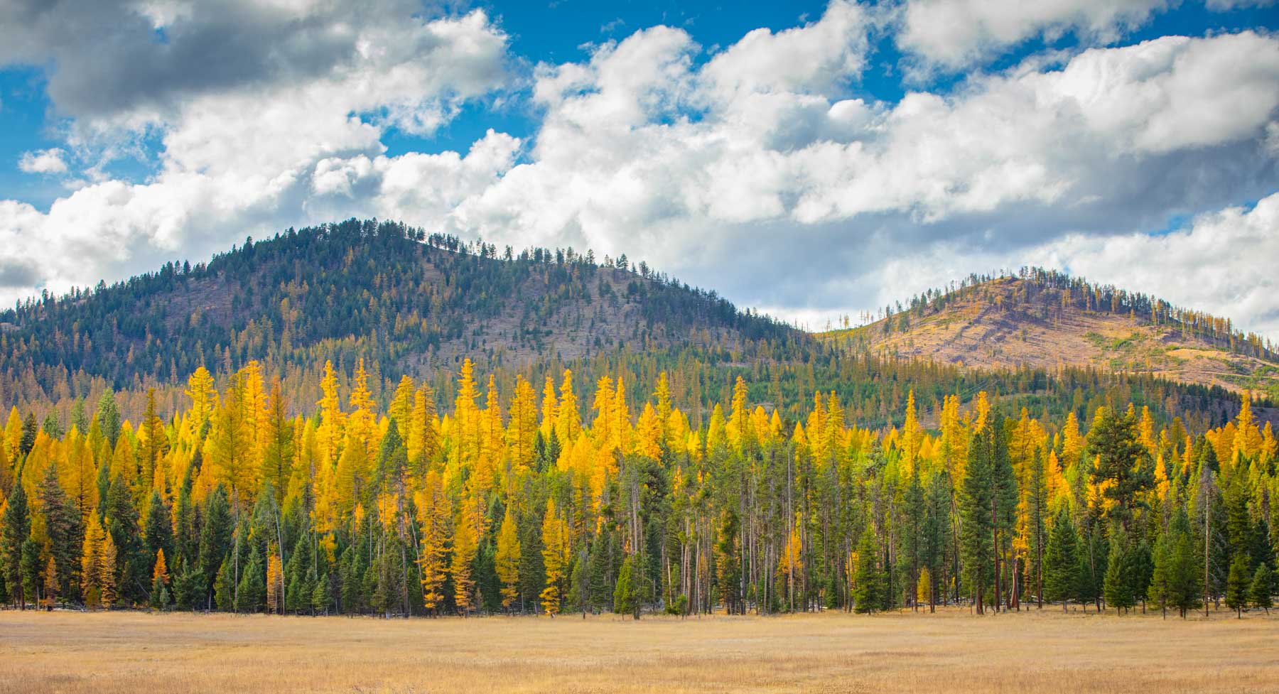 Grey Wolf Guest Ranch property picture 14 of 80
