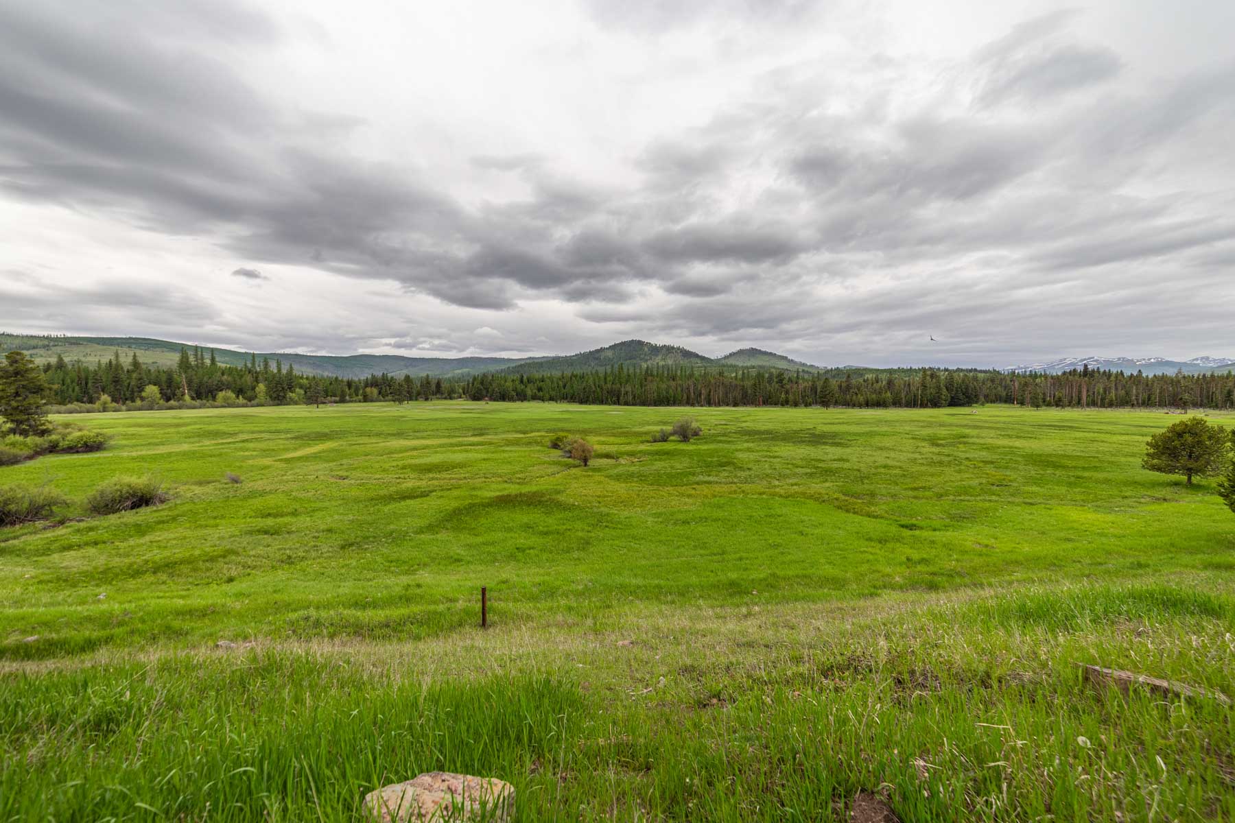 Grey Wolf Guest Ranch property picture 74 of 80