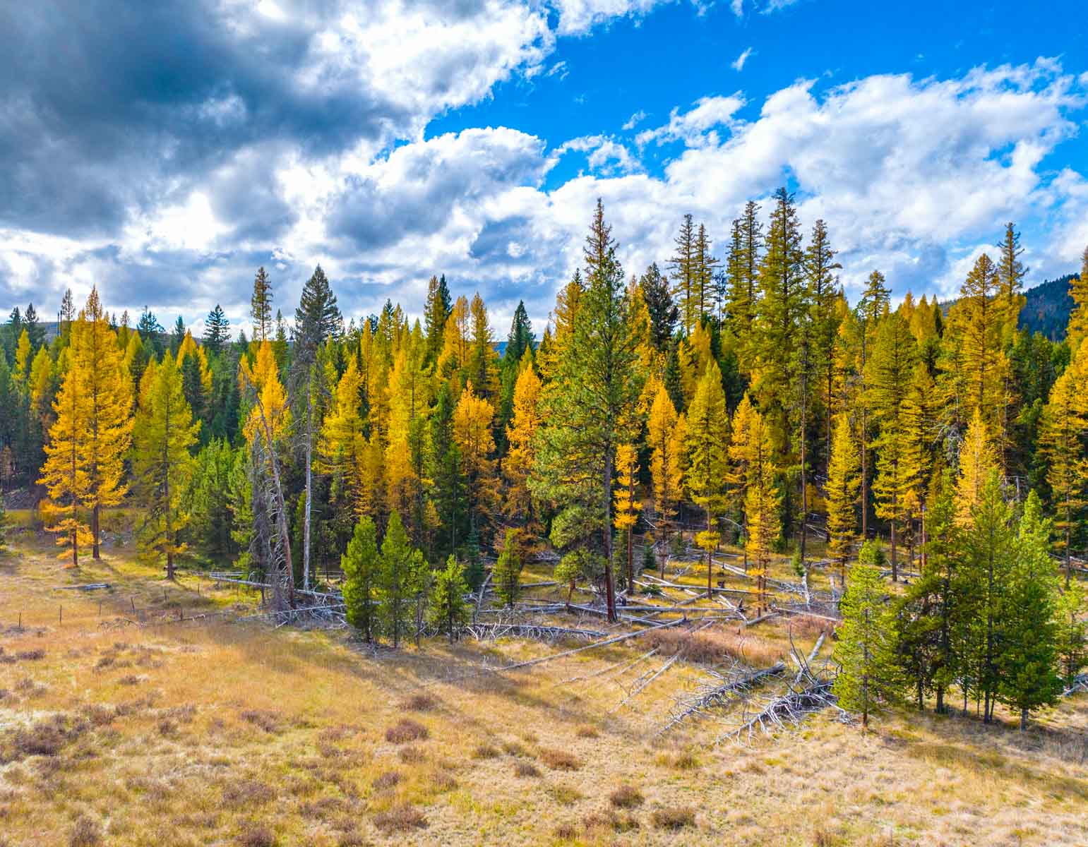 Grey Wolf Guest Ranch property picture 15 of 80