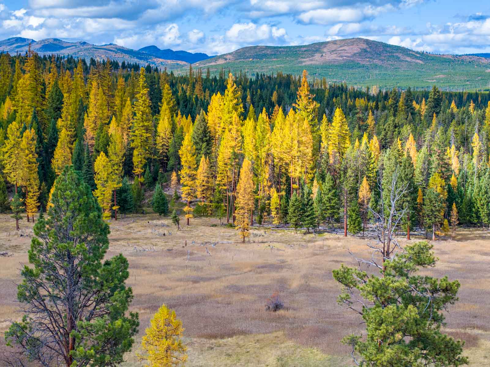 Grey Wolf Guest Ranch property picture 18 of 80