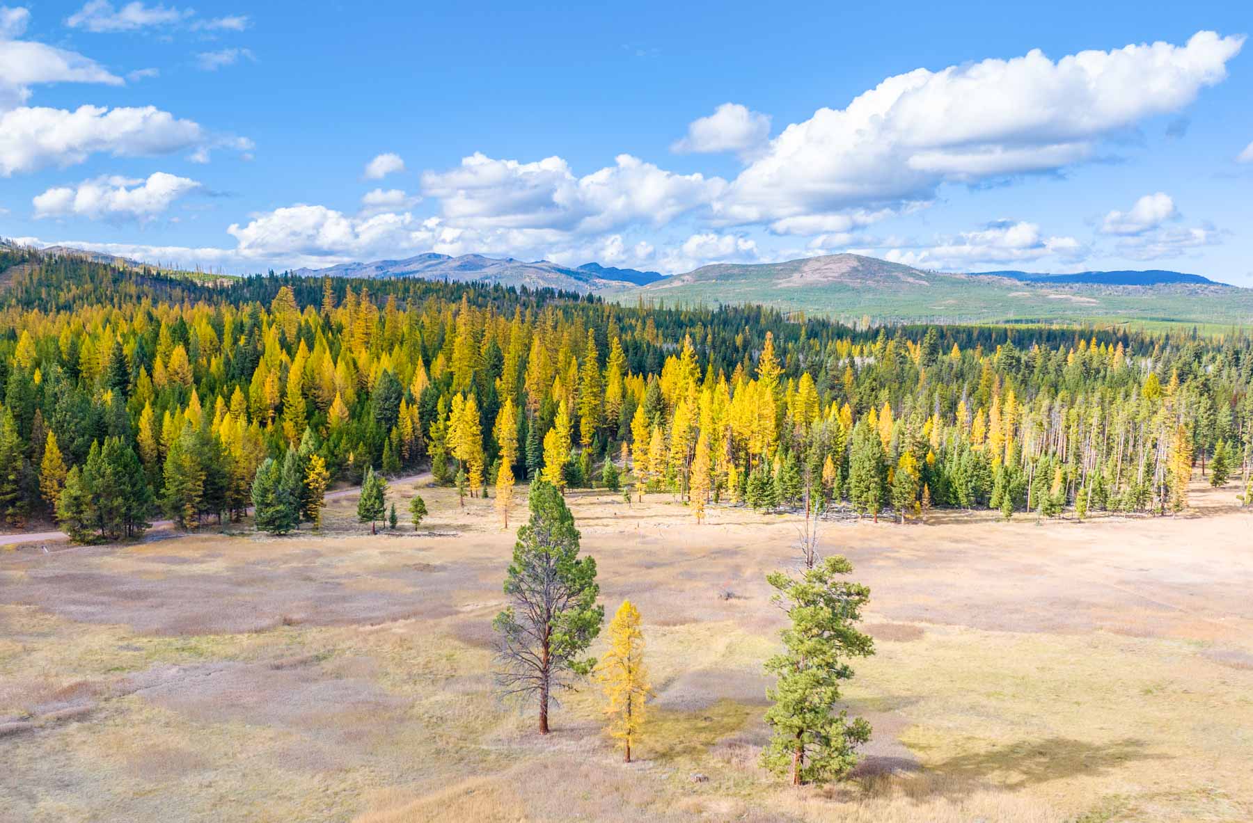 Grey Wolf Guest Ranch property picture 17 of 80